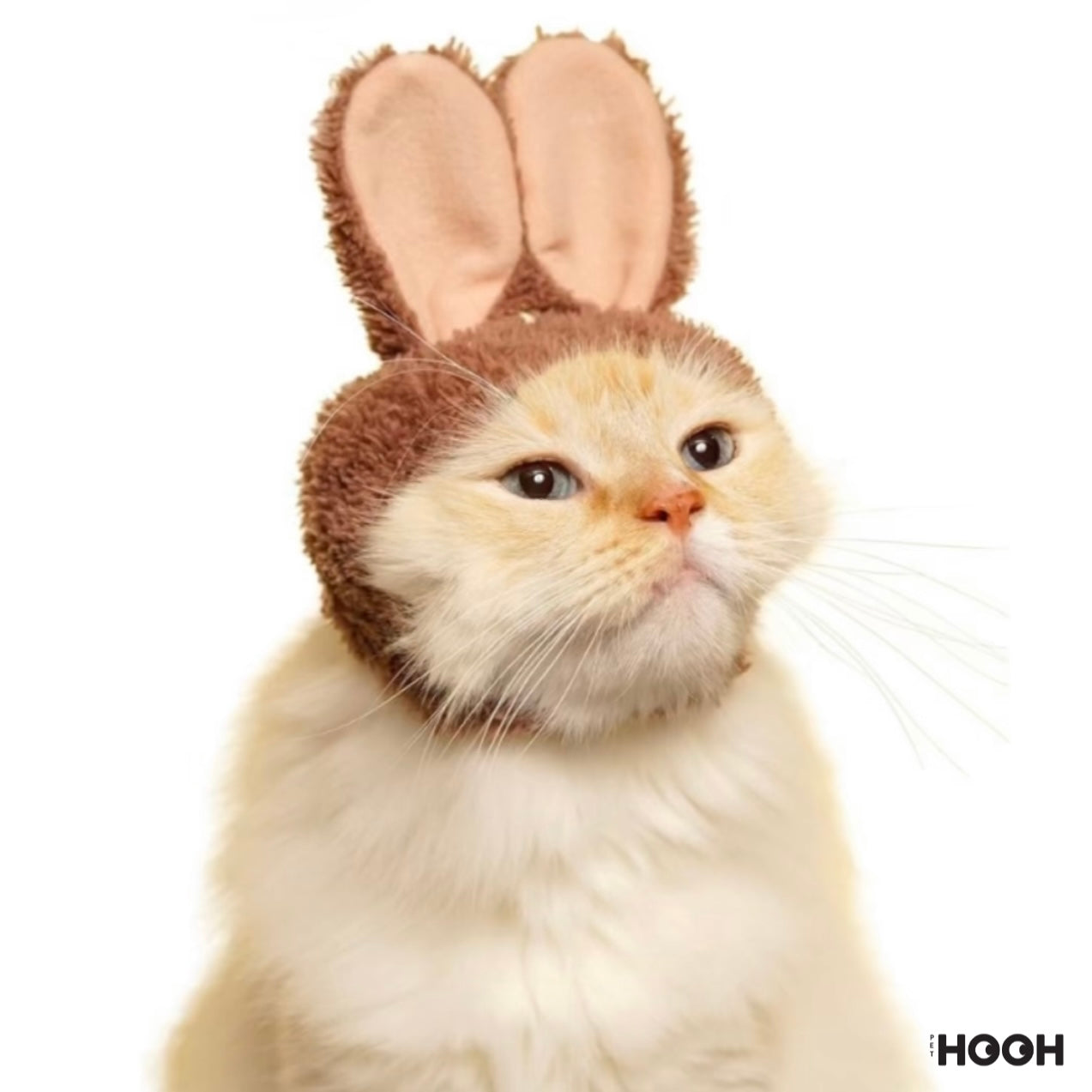 Bunny Ears Pet Hat
